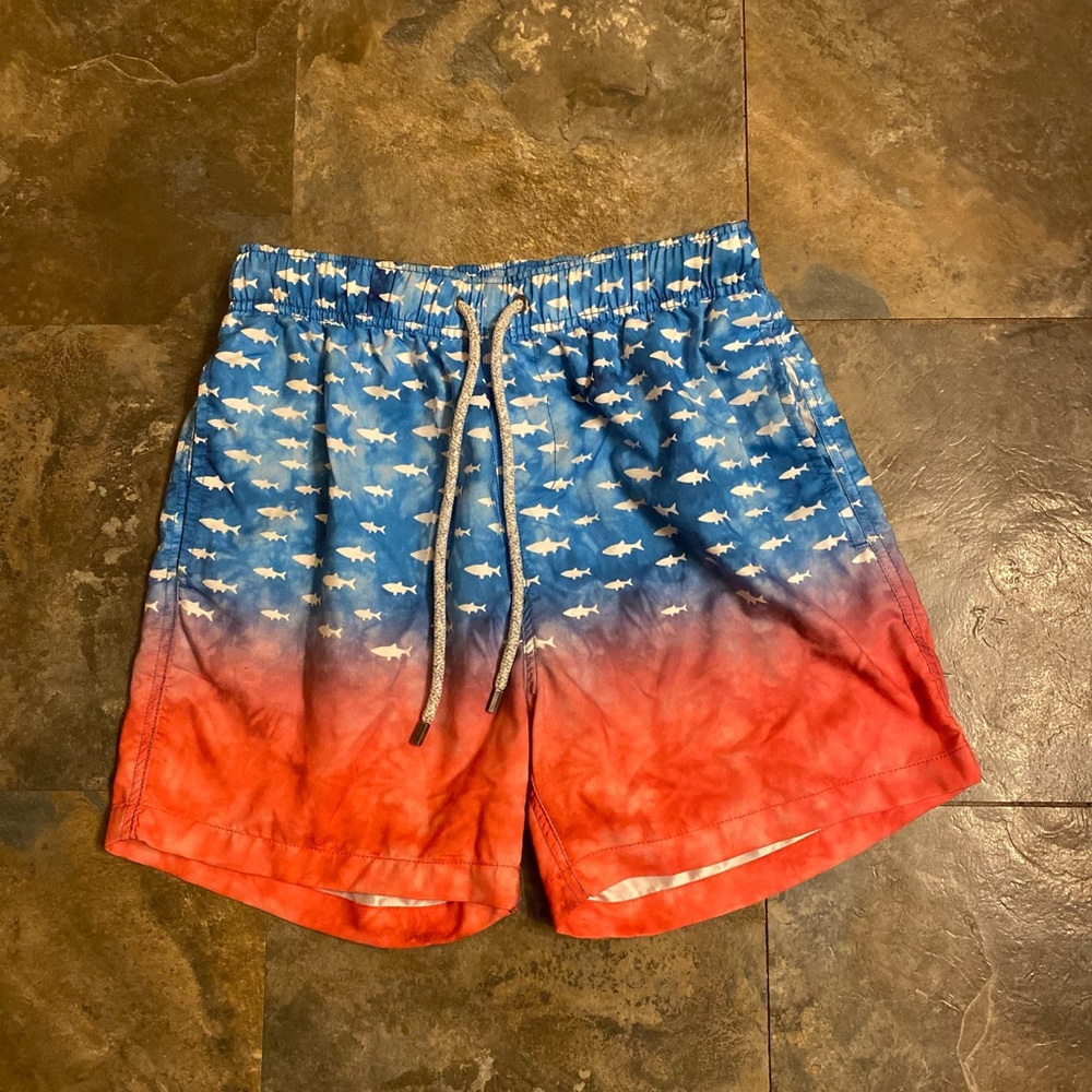 The Endless Summer Mens Swim Trunks